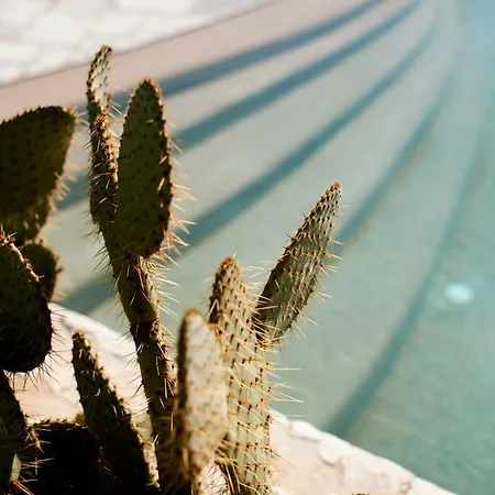 ベッド・アンド・ブレックファスト Echi Di Puglia ポリニャーノ・ア・マーレ