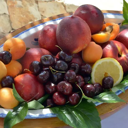 Echi Di Puglia
