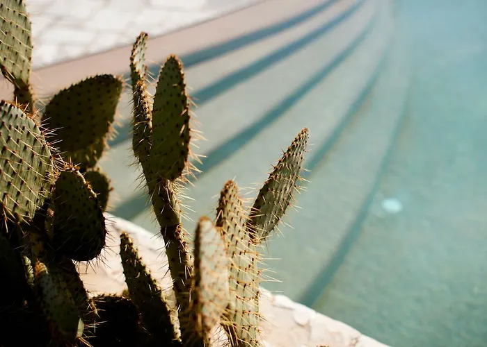 לינה וארוחת בוקר Echi Di Puglia פולינאנו א מארה